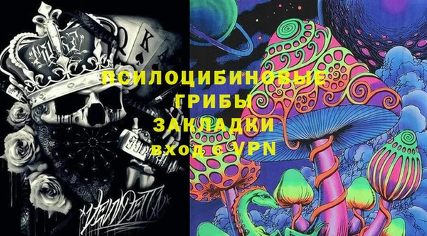 прущие грибы Нефтегорск