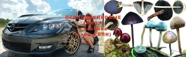 хмурый Нея