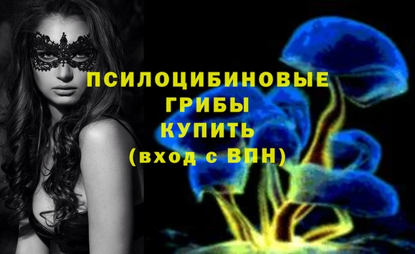 хмурый Нея