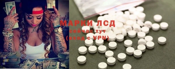 хмурый Нея