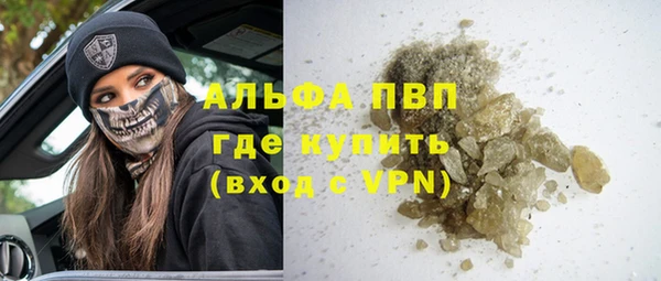 прущие грибы Нефтегорск