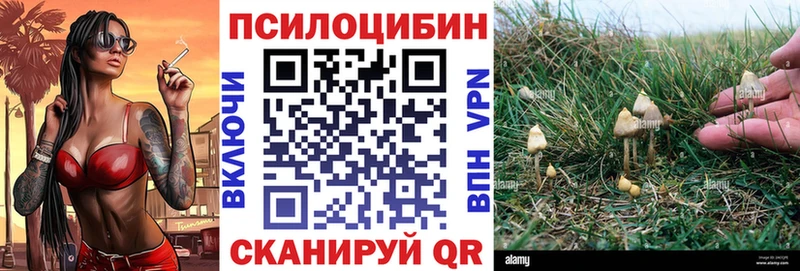 Галлюциногенные грибы Cubensis  Усолье 